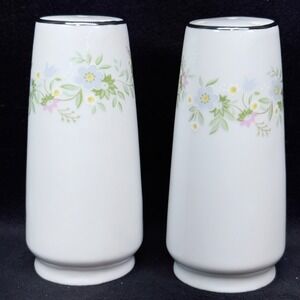 Johann Haviland Bavarian China Forever Spring Salt & Pepper Shakers Floral